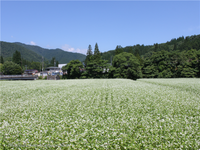 牧戸地区