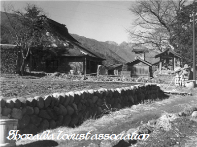 中野照蓮寺と桜