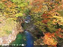 魚帰り（マトバ橋）