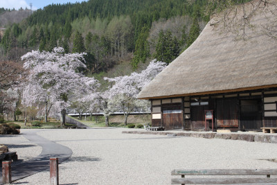 荘川の里