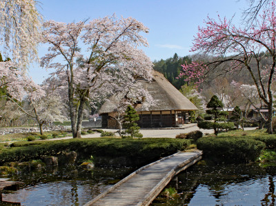 荘川の里