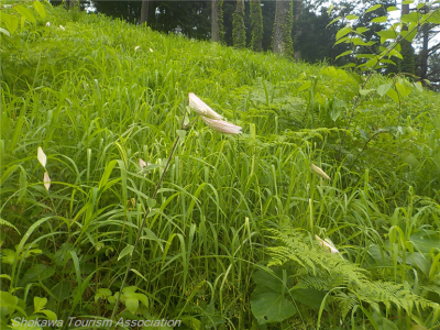 DSCN0740