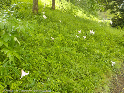 DSCN0840