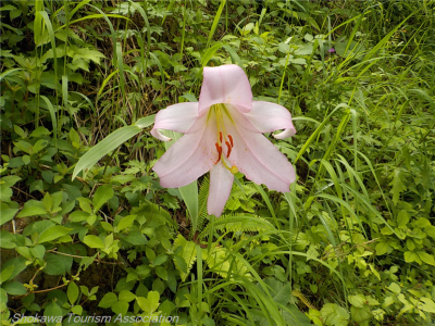 DSCN0844