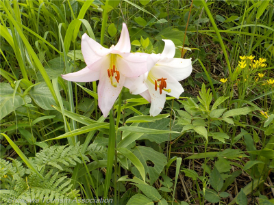 DSCN0848