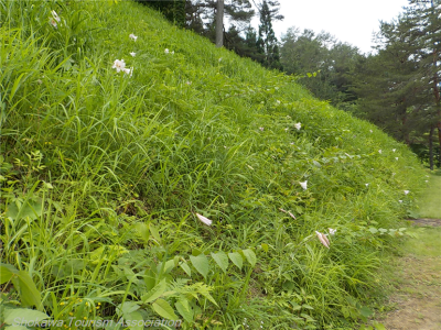 DSCN0851