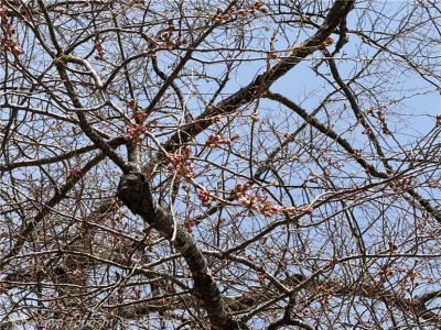 image0 (2)