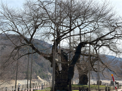 image0